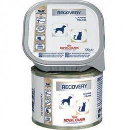 Royal Canin Recovery Canine для взрослых собак и кошек